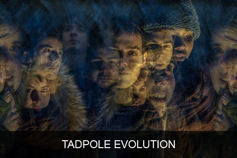 tadpole evolution