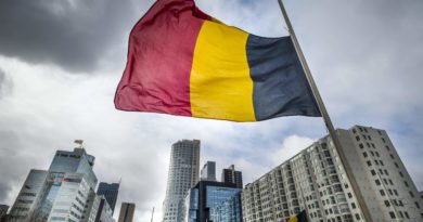 BRUSSELS FLAG