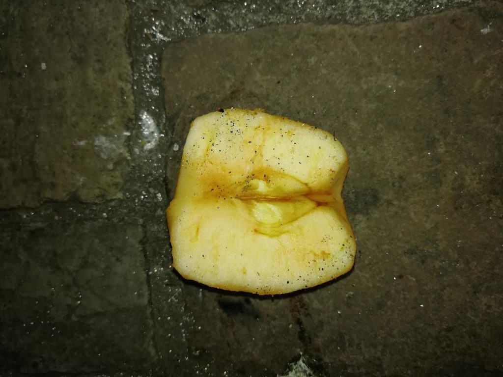 The half apple photo 2
