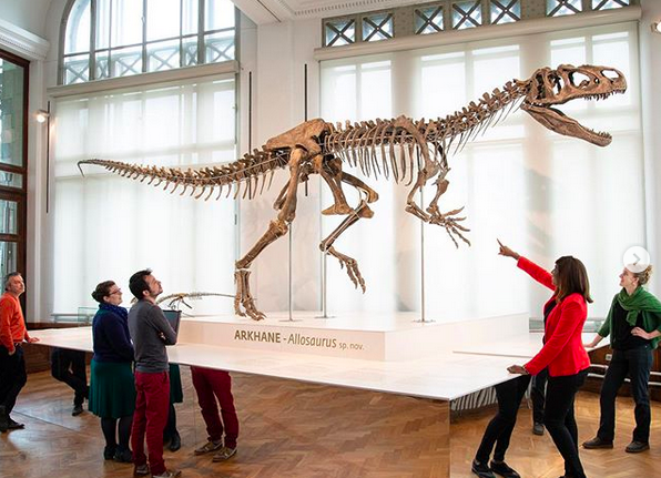 A new species of dinosaur on display in Brussels - Brussels Express