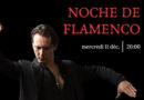 In the mood for Flamenco? Come to the Noce de Flamenco