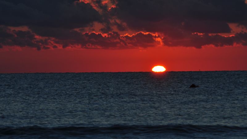 ©Bruno Mariani ©Bruno Mariani