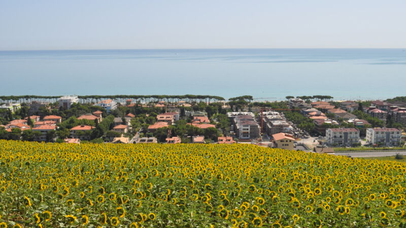 ©Bruno Mariani ©Bruno Mariani